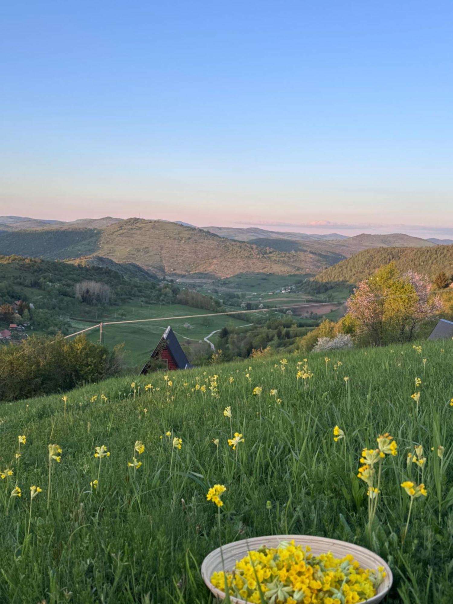 Uvacki Raj Villa Radijevici Dış mekan fotoğraf